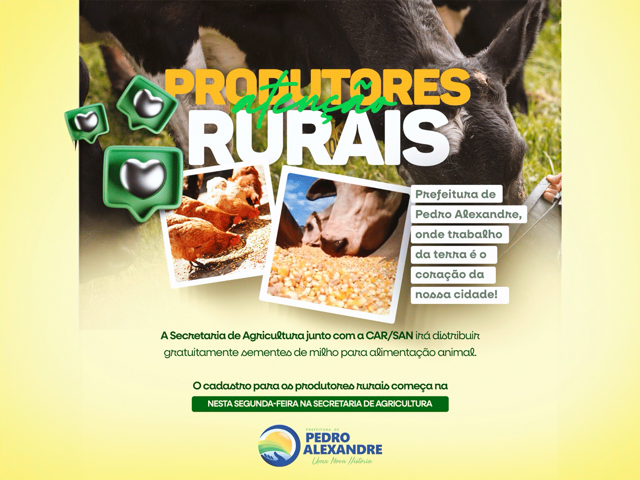 Prefeitura de Pedro Alexandre Inicia Distribuição de Sementes de Milho para Agricultores e Criadores Locais